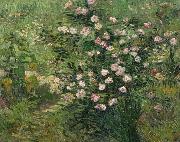 Vincent Van Gogh, Roses